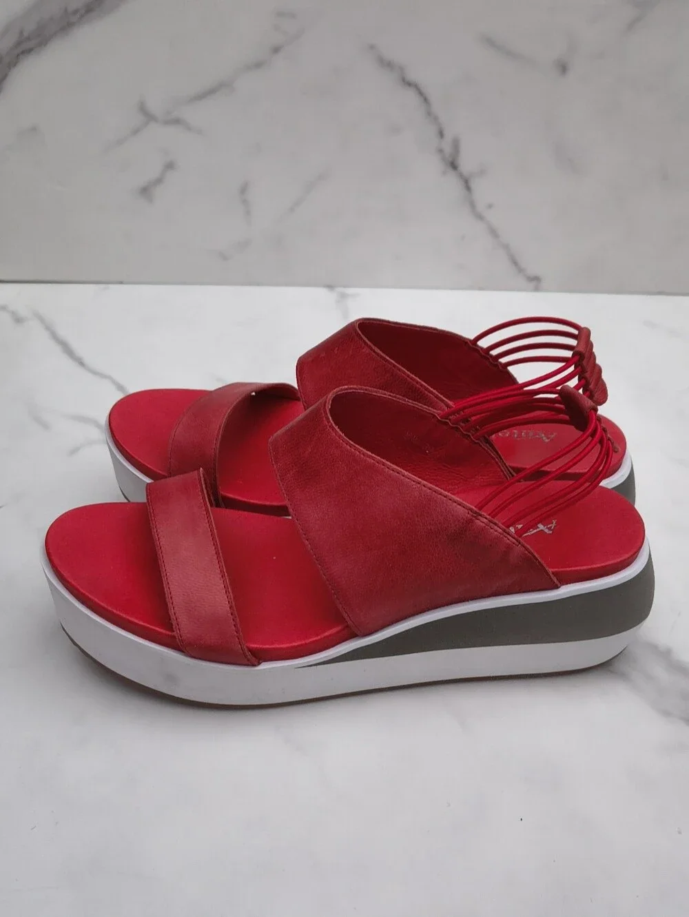 Antelope size 39